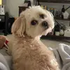 elliotlea92 - @elliotlea92 - TikTok