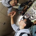 Elliot Lee - @elliotlee623 - Instagram