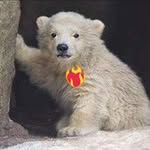elliot lee - @elliotiot - Instagram
