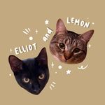 lemon & elliot - @lemonandelliot - Instagram