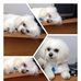Elliot Levinson - Facebook