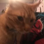 Elliot (@awsome_elliot88) - @elliot.lightwood88 - Instagram