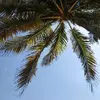 elliottinlight - @elliottinlight - TikTok
