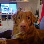 Elliot Linder - Facebook