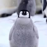 Elliot Linglöf - @elliot_linglof - Instagram
