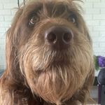 Elliot mackey - @elliot.mackey - Instagram