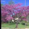 unicornkitty11 - @elliotmacke - TikTok