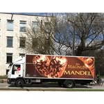 Elliott Mandel - @elliott.mandel - Instagram