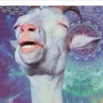 Elliot Marshall - @goatlover105 - Instagram