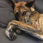 Elliot_M - @elliot_mathis89 - Instagram