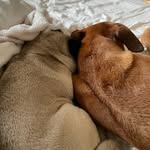 @elliot.maxwell - Instagram