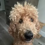 Elliot Maxwell - @e.maxwell99 - Instagram