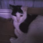 Elliot Worrall-McBride - @elliotwm2012 - Instagram