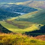 Elliot mccarthy - @elliotmccarthy811 - Instagram