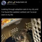 Elliot McLeod - Facebook