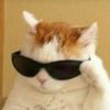 sugatachikito - @minelliot - TikTok