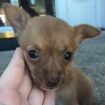 Elliot Monroe - Facebook