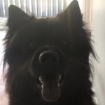 Elliot Muñoz - @ymanol2202 - Instagram