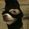 elliotname - @name_elliot - TikTok