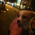Elliot Ness - @thegrowingminority - Instagram