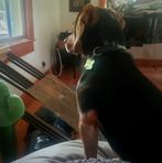 Elliot Nolan - Facebook