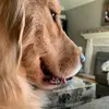 Elliott noland - @elliottnoland175 - TikTok