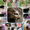 pepper_elliot_gizmo123 - @pepper_elliot_gizmo123 - TikTok