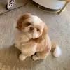 elliottperry868 - @elliottperry868 - TikTok