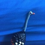 Elliot  Peter James Smith - @ostrich_dood - Instagram