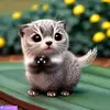 Eliot Pollack - @eliot.pollack - TikTok