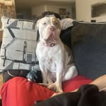 Elliot Ramos - @ramo.r_elliot - Instagram