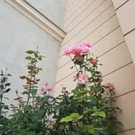 Elliot - @elliot_____reads2w7 - Instagram