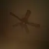 Elliot Rice - @jumbo.elliot - TikTok