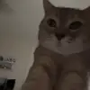 elliott - @elliott2rich - TikTok