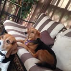 Elliot Roach - Facebook