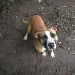 Roemon Elliott - Facebook