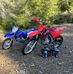 Elliot Schaffer - Facebook