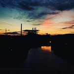 Elliot Schultz - @elli_dawg_yay - Instagram