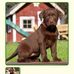 Elliot Schultz - Facebook