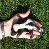elliott.shaw - @elliott.shaw - TikTok
