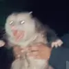 Elliott - @elliottsspears - TikTok