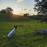 Elliot Sullivan - @elliot_sullivan1 - Instagram