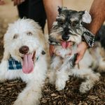 Elliot & Walter Froelich - @elliotandwalter - Instagram