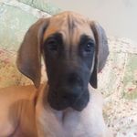 Elliot And Walter - @elliot_and_walter - Instagram