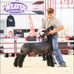 Elliot Walters - Facebook
