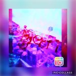 Elliot Watts - @e.watts_1_backup - Instagram