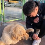 ELLIOT - @elliotwelsh__0mj - Instagram