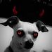 Elliot Westphall - Facebook