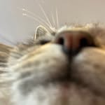 elliot w - @elliot_woodh - Instagram