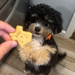 Elliot  yates - @elliotyates52 - Instagram